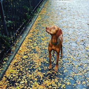 Meet your Posher, Mike